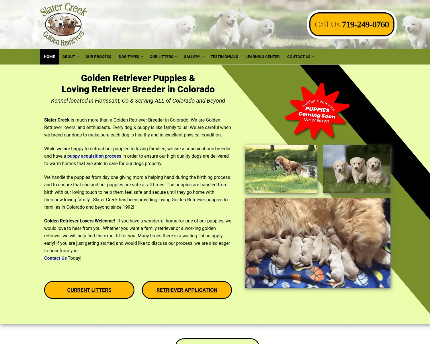 slatercreekgoldenretrievers.com